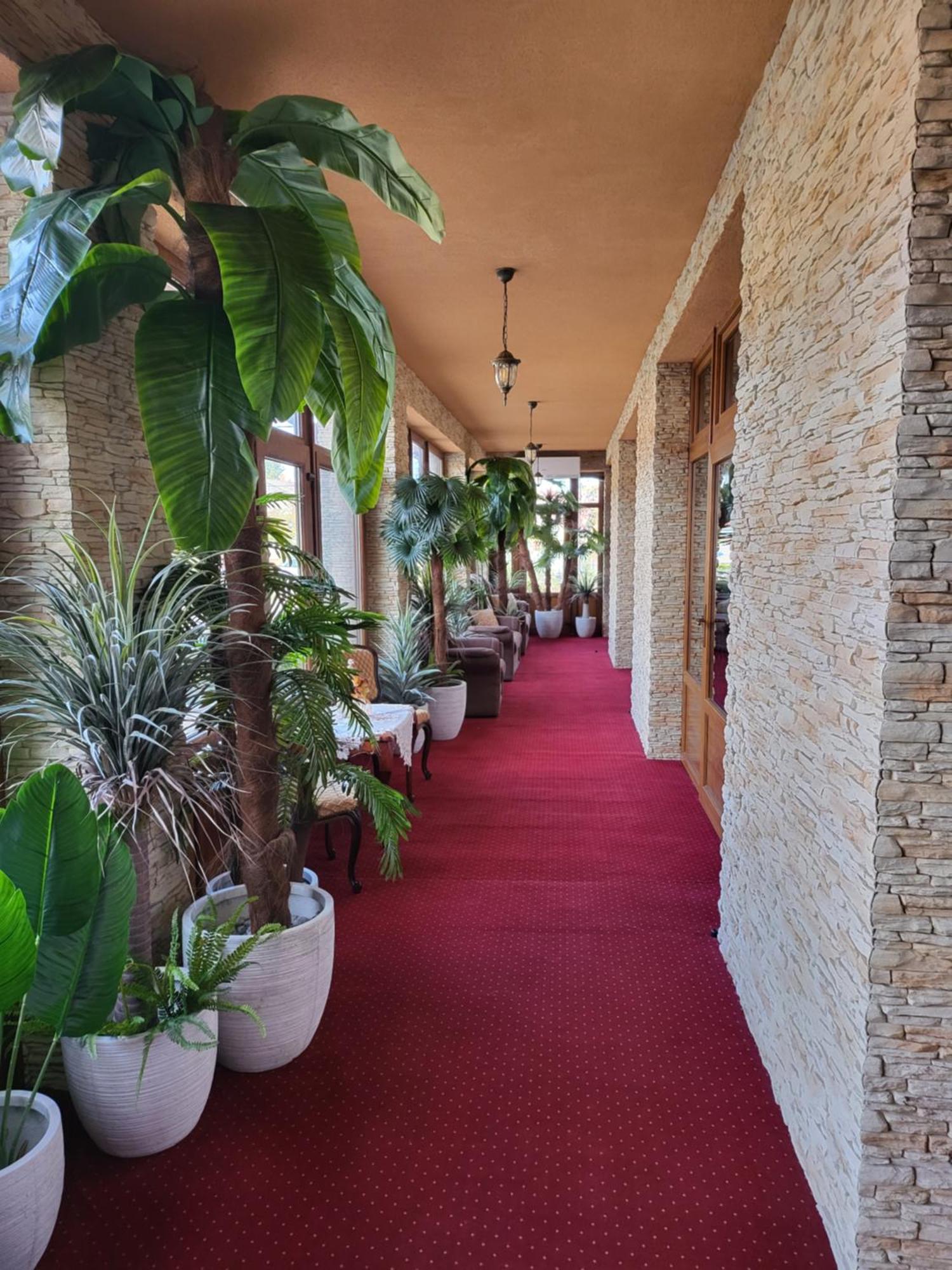 Bed and Breakfast Voeroes Alom Panzio Tiszakécske Exterior foto
